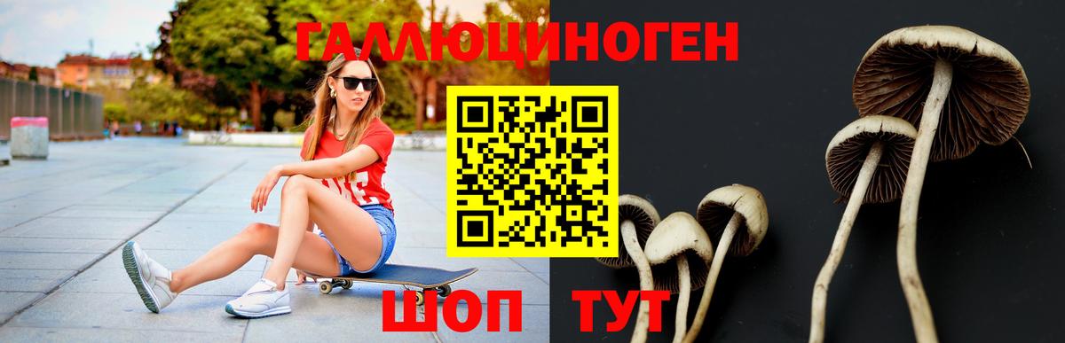 Муром  Галлюциногенные грибы ЛСД  Вход с VPN  где продают наркотики  Псилоцибиновые грибы мухоморы 